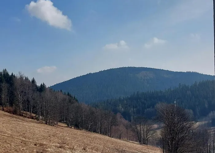 Apartment Apartmenty Czarna Gora 209